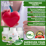 DYNAPHARM AUTHENTIC YEEGINKGO TABLETS
