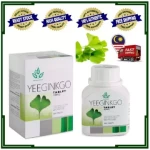 DYNAPHARM AUTHENTIC YEEGINKGO TABLETS
